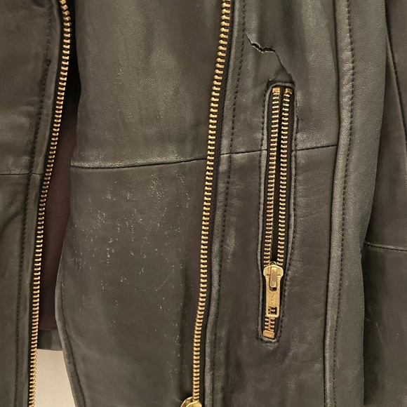 Daniel Leather jacket with gold details - Picture 2 of 4